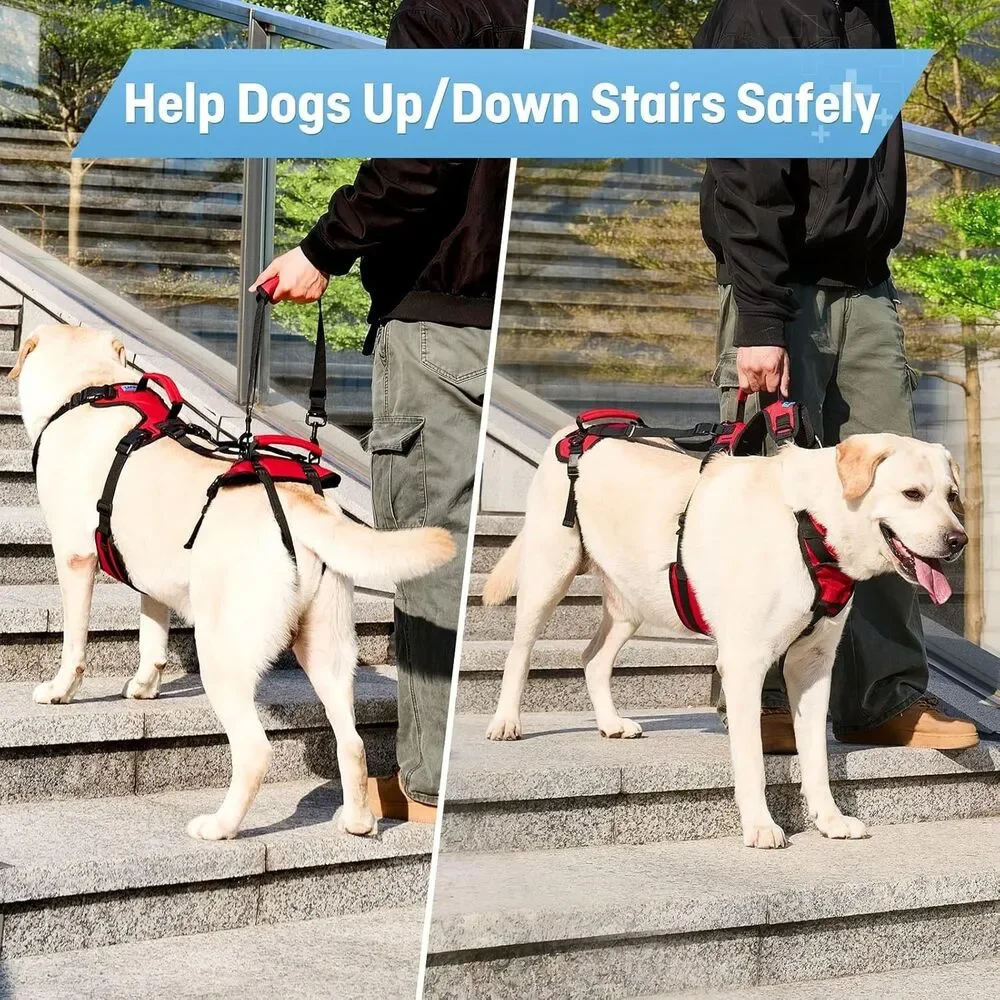Lafoty Dog Lift Harness for Large Dogs, Full-Body Support Size Large, Red, New